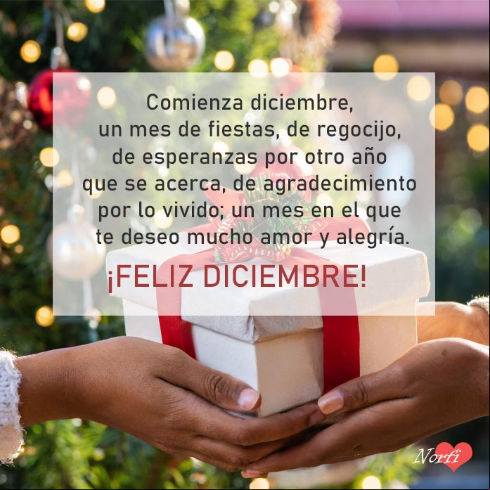 Comienza diciembre, un mes de fiestas, de regocijo, de esperanzas por otro año que se acerca, de agradecimiento por lo vivido; un mes en el que te deseo mucho amor y alegría Manos entregando un presente, de fondo arbolito de navidad