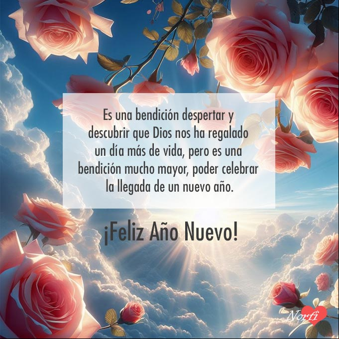 Es una bendición despertar en la mañana y descubrir que Dios nos ha regalado un día más de vida, pero es una bendición mucho mayor, poder celebrar la llegada de un nuevo año ROSAS, cielo azul, rayos de sol