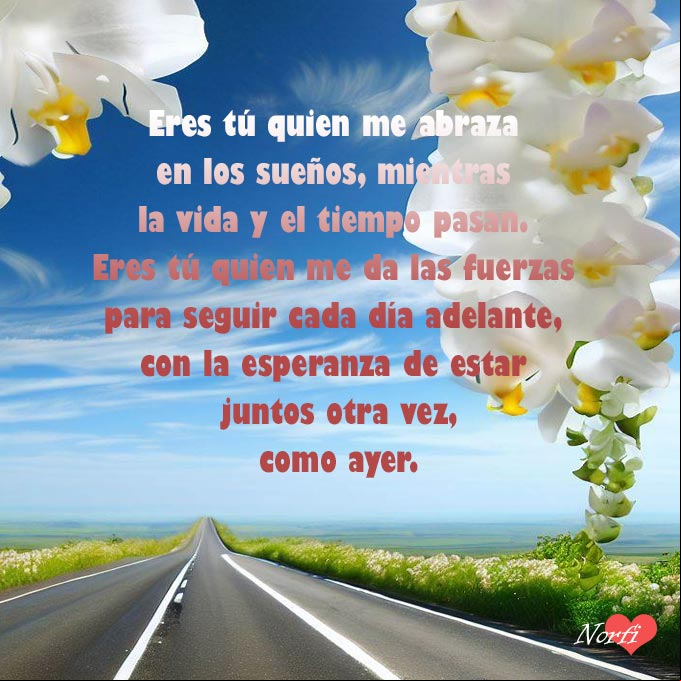 Eres tú quien me abraza en los sueños, mientras la vida y el tiempo pasan. Eres tú quien me da las fuerzas para poder seguir cada día adelante, con la esperanza de estar juntos otra vez Carretera con flores de orquideas blancas colgando
