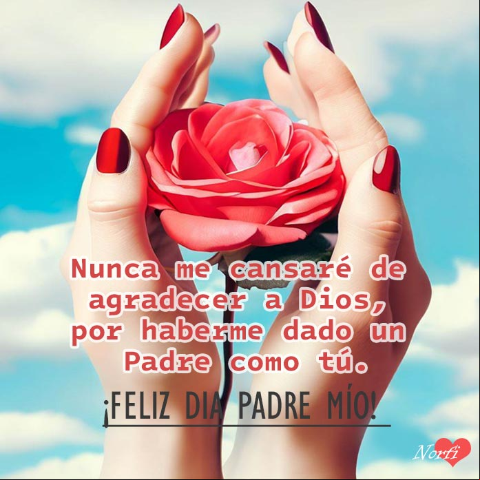 Nunca me cansaré de agradecerle a Dios, por haberme dado un Padre como tú. ¡Feliz Dia Padre mío! Mano de mujer con una rosa roja y frase a su padre