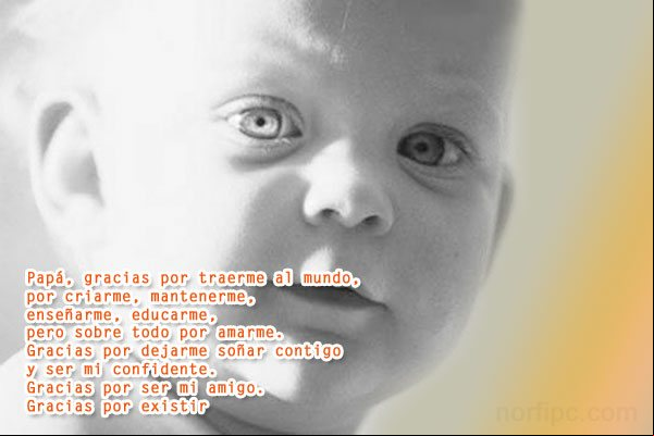 Papá, gracias por traerme al mundo, por criarme, mantenerme, enseñarme, educarme, pero sobre todo por amarme Papá, gracias por traerme al mundo