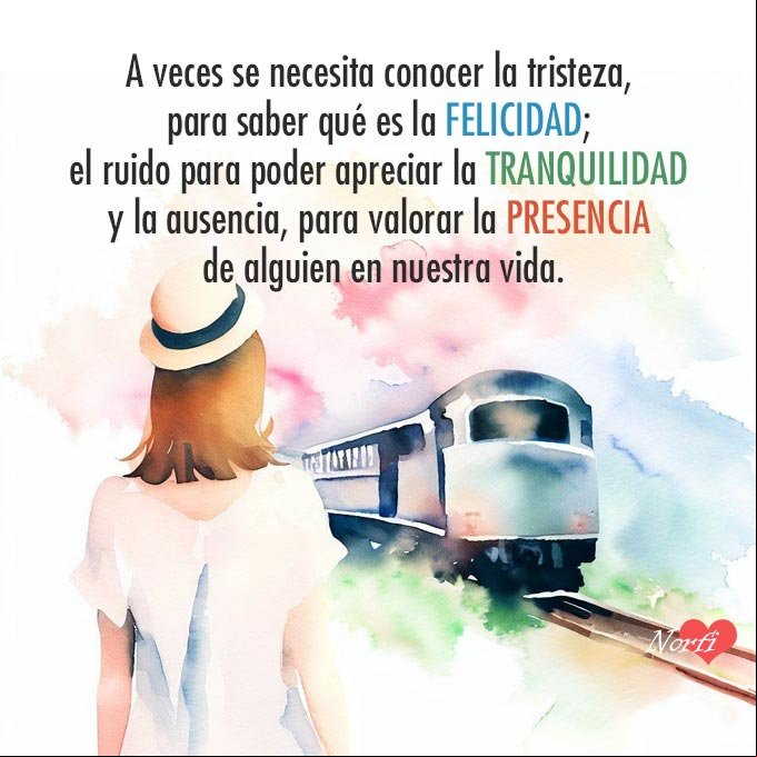 A veces se necesita conocer la tristeza, para saber qué es la felicidad; el ruido para poder apreciar la tranquilidad y la ausencia, para valorar la presencia de alguien en nuestra vida Persona viendo partir un tren