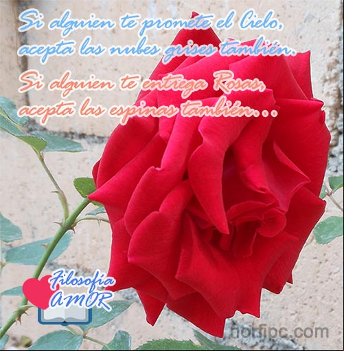 Si alguien te promete el cielo, acepta las nubes grises también. Si alguien te entrega rosas, acepta las espinas también... Frases para filosofar y analizar cómo nos comportamos