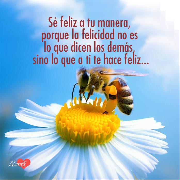 Abeja libando una flor con frase sobre la felicidad