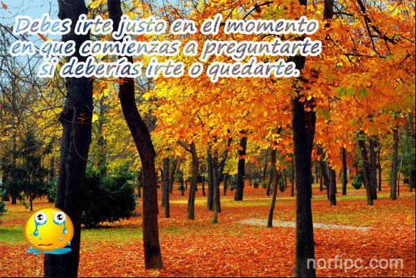 Debes irte desde el momento en que comienzas a preguntarte si deberías irte o quedarte Debes irte desde el momento en que comienzas a preguntarte si deberías irte o quedarte