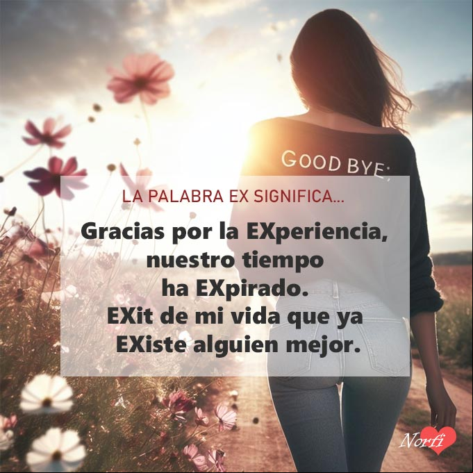 La palabra EX, significa: Gracias por la EXperiencia, nuestro tiempo ha EXpirado, ahora EXit de mi vida que ya EXiste alguien mejor. Mujer de espaldas caminando diciendo adiós