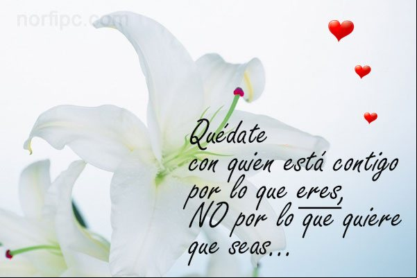 Quédate con quien está contigo por lo que eres, NO por lo que quiere que seas... Consejos para saber con quién debes quedarte