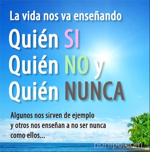 La vida nos va enseñando quién SI, quién NO y quién NUNCA Frase sobre la franqueza y la honestidad con la gente que nos rodea