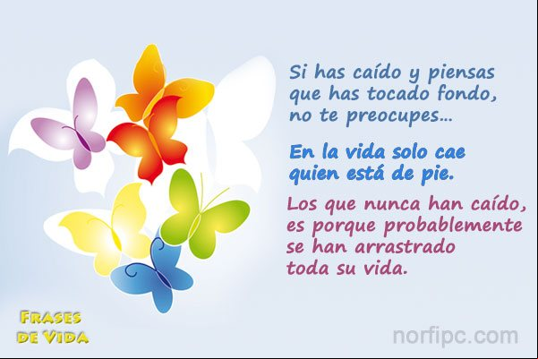 En la vida solo cae quien está de pie. Los que nunca han caído, es porque probablemente se han arrastrado toda su vida Frase motivadora: En la vida solo cae quien está de pie