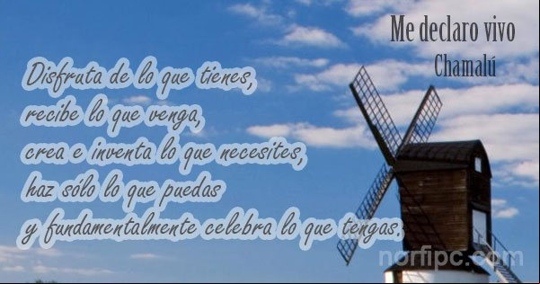 Disfruta de lo que tienes, recibe lo que venga, crea e inventa lo que necesites, haz sólo lo que puedas y fundamentalmente celebra lo que tengas. Frase de un poema de Chamalú Frase del poema 'Me declaro vivo', de Chamalú
