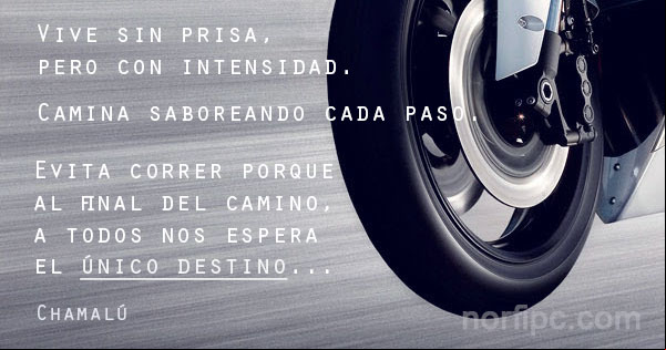 Vive sin prisa pero con intensidad, camina saboreando cada paso, evita correr porque al final del camino, nos espera el único destino. Reflexion de Chamalú Vive sin prisa pero con intensidad. Reflexion de Chamalú