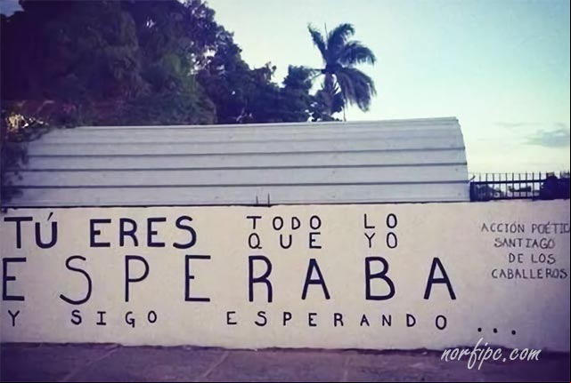 Tú eres todo lo que yo esperaba y sigo esperando. #AccionPoetica Tú eres todo lo que yo esperaba y sigo esperando