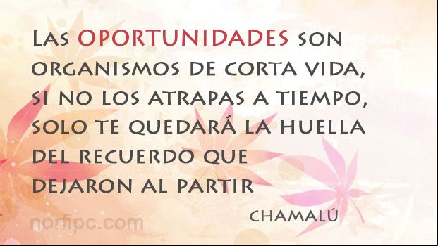 Las oportunidades son organismos de corta vida, si no los atrapas a tiempo, solo te quedará la huella del recuerdo que dejaron al partir. Frase de Chamalú Mensaje inspirador, positivo de Chamalú
