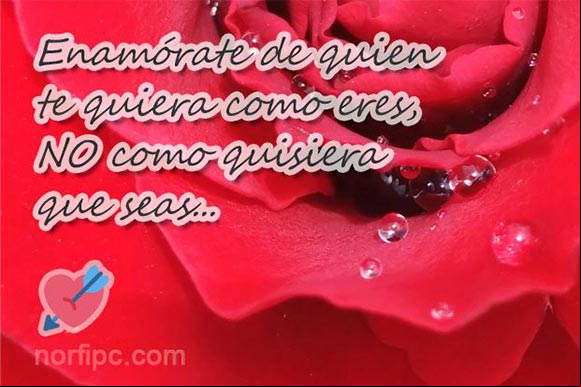 Enamórate de quien te quiera como eres, NO como quisiera que seas. #ConsejosAmor Foto con pensamiento para pensar antes de enamorarse de otra persona