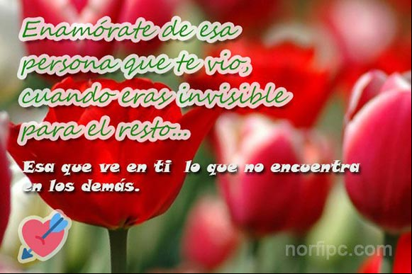 Enamórate de esa persona que te vio, cuando eras invisible para el resto. Esa que ve en ti lo que no encuentra en los demás. #ConsejosAmor Foto con reflexion para saber si alguien merece nuestro amor y entrega