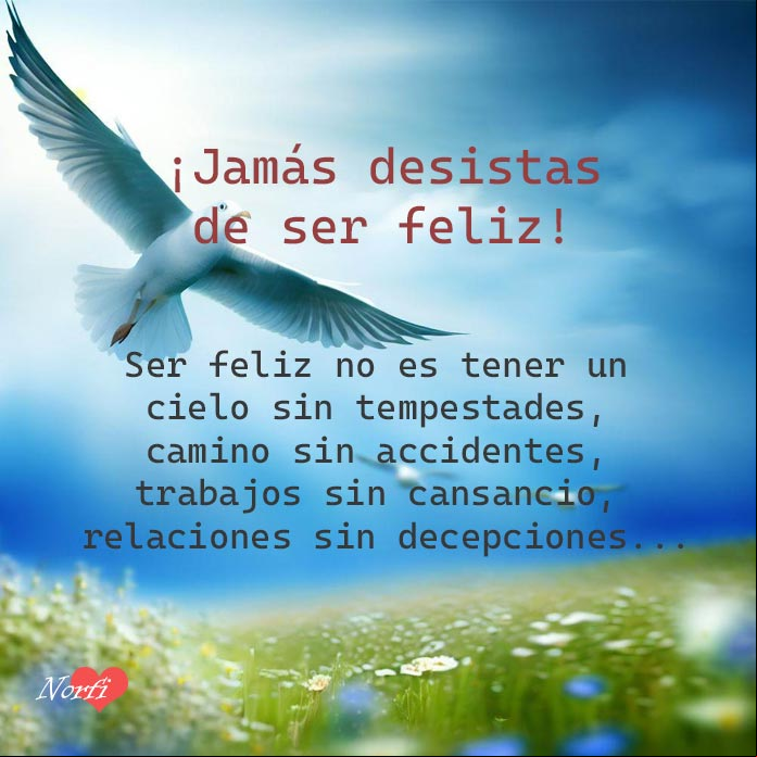 Jamás desistas de ser feliz, aunque ser feliz, no es tener un cielo sin tempestades, camino sin accidentes, trabajos sin cansancio, ni relaciones sin decepciones... Prado con flores y gaviotas en el cielo
