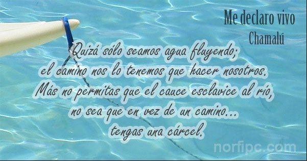 Más no permitas que el cauce esclavice al río, no sea que en vez de un camino tengas una cárcel... Frase de un poema de Chamalú No permitas que el cauce esclavice al río. De un poema de Chamalú