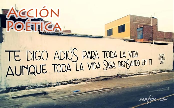 Te digo adiós para toda la vida, aunque toda la vida siga pensando en ti