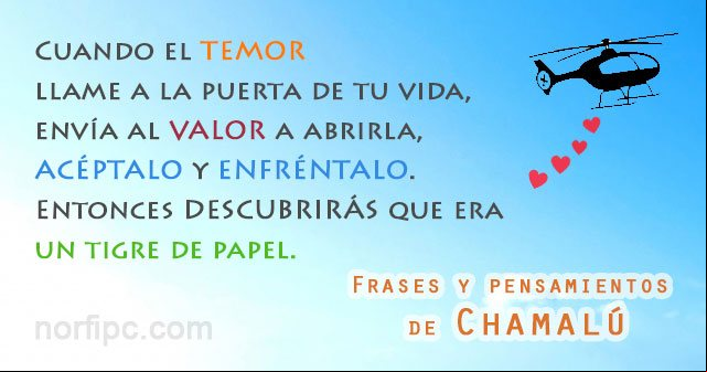 Cuando el temor llame a la puerta de tu vida, envía al valor a abrirla, acéptalo y enfréntalo. Entonces descubrirás que era un tigre de papel. Frase de Chamalú Frases y pensamientos de Chamalú