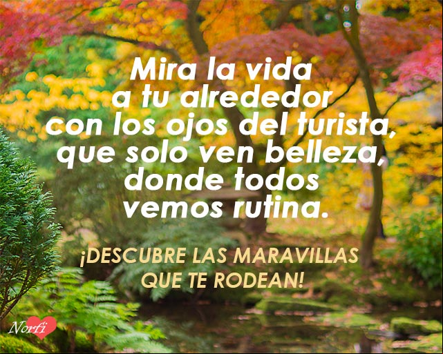 Mira la vida a tu alrededor con los ojos del turista, que solo ven belleza, donde todos vemos rutina Descubre las bellezas de la vida