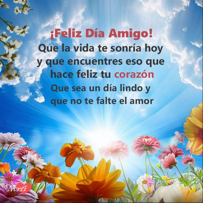Flores y rayos de sol al amanecer