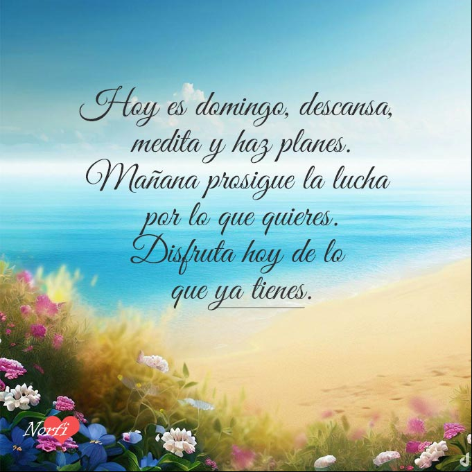 Hoy es domingo, descansa, medita y haz planes. Mañana prosigue la lucha por lo que quieres, disfruta hoy de lo que ya tienes Paisaje de playa con flores y mar azul