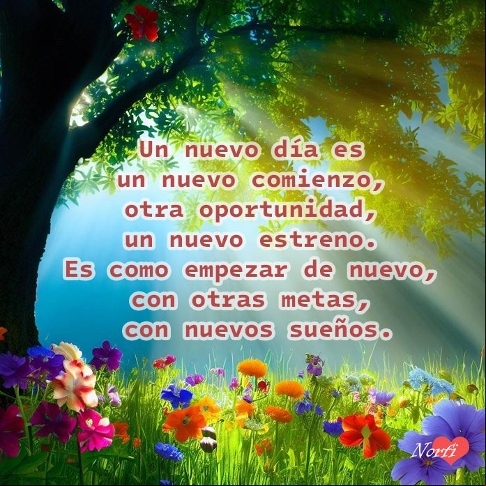 Un nuevo día, es un nuevo comienzo, otra oportunidad, un nuevo estreno. Es como empezar de nuevo, con otras metas, con nuevos sueños Rayos de sol bajo un árbol al amanecer con flores de varios colores