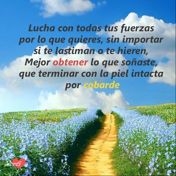 Lucha con todas tus fuerzas por lo que quieres, sin importar si te lastiman o te hieren. Mejor obtener lo que soñaste, que terminar con la piel intacta por cobarde. Camino al amanecer con flores