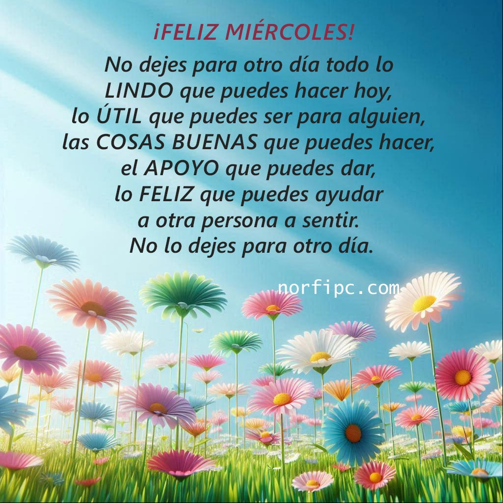 No dejes para otro día todo lo lindo que puedes hacer hoy, lo útil que puedes ser para alguien, las cosas buenas que puedes hacer, el apoyo que puedes dar, lo feliz que puedes ayudar a otra persona a sentir, no lo dejes para otro día Campo con prado verde y flores de margaritas