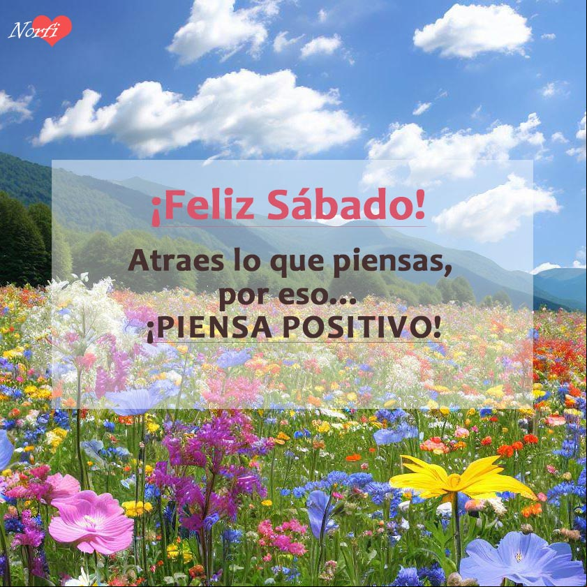 Atraes lo que piensas, por eso... ¡piensa positivo! Amanecer en un campo florido con mensaje inspirador para el sábado