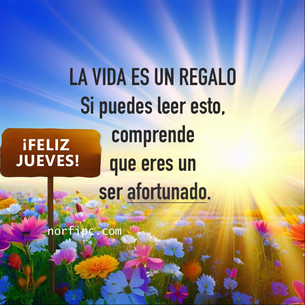 La vida es un regalo. Si puedes leer esto, comprende que eres un ser afortunado Paisaje de amanecer con cartel de feliz jueves