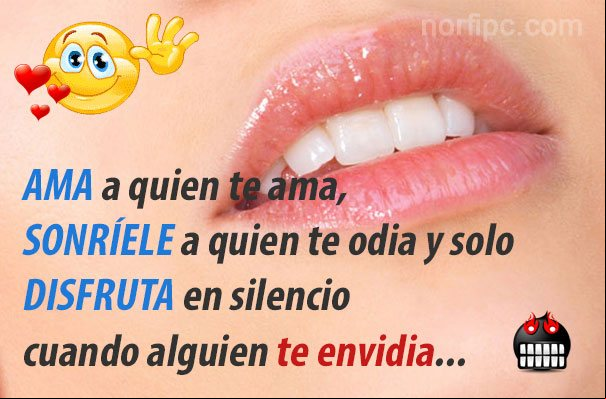 AMA a quien te ama, SONRÍELE a quien te odia y DISFRUTA en silencio cuando alguien te envidia Frases sarcásticas para la gente envidiosa, falsa e hipócrita