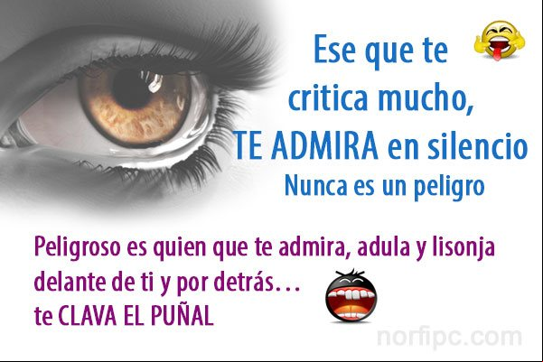 Ese que te critica mucho, te ira en silencio. Peligroso es quien que te ira, adula y lisonja delante de ti y por detrás… te clava el puñal. Frases sobre la gente que nos critica y habla de nosotros