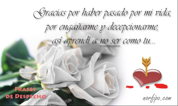Gracias por haber pasado por mi vida, por engañarme y decepcionarme, así aprendí a no ser como tu... Frases de despecho, desprecio, rencor y resentimiento