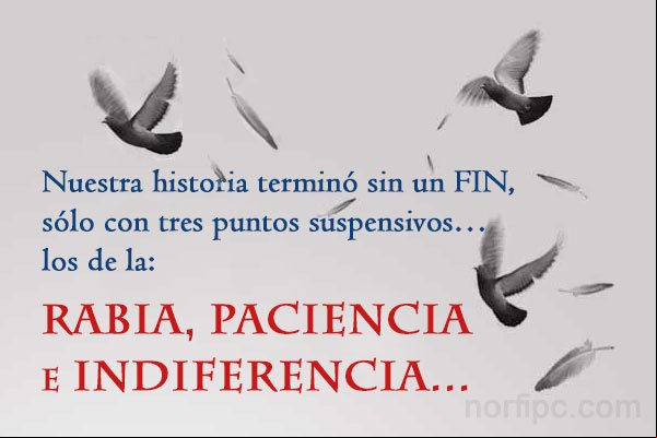 Nuestra historia terminó sin un FIN, sólo con tres puntos suspensivos… Los de la: RABIA, PACIENCIA e INDIFERENCIA Frases tristes de desencanto por un amor que no pudo ser