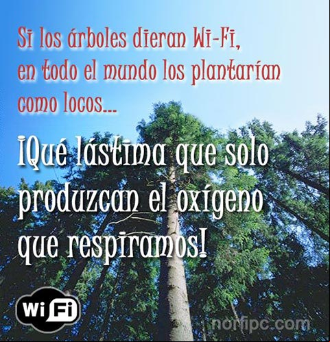 Si los arboles dieran WiFi, entonces en todo el mundo plantarían arboles como locos... ¡Qué lástima que solo produzcan el oxígeno que respiramos! Frases de crítica e ironía a la sociedad donde vivimos