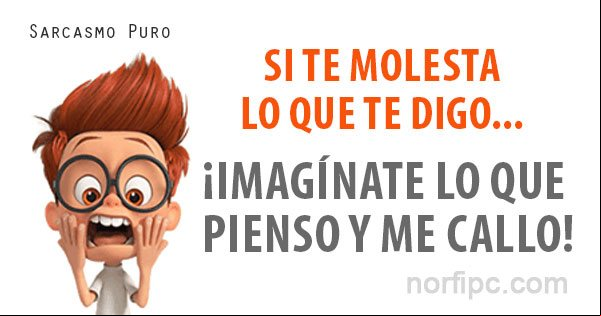 Si te molesta lo que te digo, ¡Imagínate lo que pienso y me callo! Mensaje de sarcasmo para los que se molesta por lo que digo de ellos