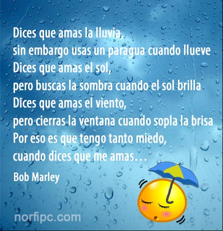 Tengo miedo cuando dices que me amas. Poema de Bob Marley sobre la sinceridad en la vida Poema de Bob Marley sobre la sinceridad en la vida