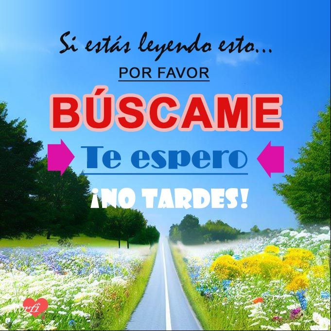 Si estás leyendo esto, por favor, búscame, te espero. ¡No tardes! Carretera con flores a los lados que se pierde en la distancia