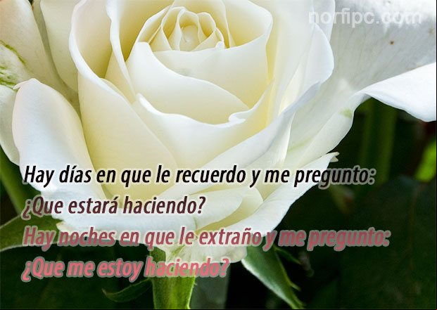 Hay días en que le recuerdo y me pregunto: ¿Qué estará haciendo? Hay noches en que le extraño y me pregunto: ¿Qué me estoy haciendo? Frases para los que recuerdan y no pueden olvidar