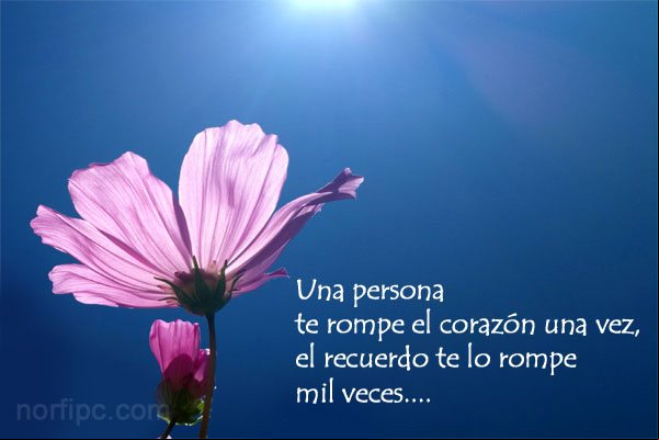Una persona te rompe el corazón una vez, el recuerdo te lo rompe mil veces Frase sobre el dolor del recuerdo