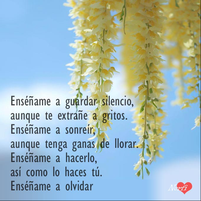 Enséñame a guardar silencio, aunque te extrañe a gritos. Enséñame a olvidar Flores de un sauce llorón colgando