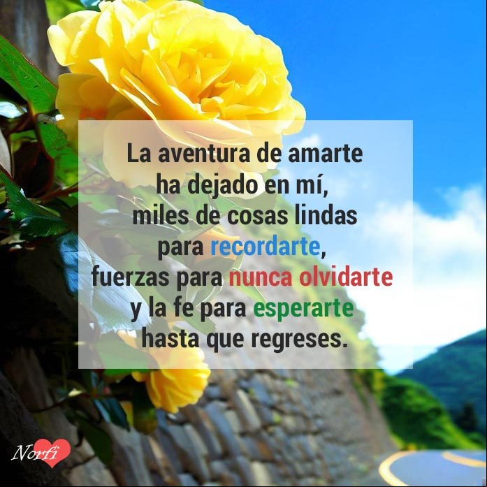 La aventura de amarte ha dejado en mí, miles de cosas lindas para recordarte, fuerzas para nunca olvidarte y la fe para esperarte, hasta que regreses Rosa amarilla a la orilla de una carretera