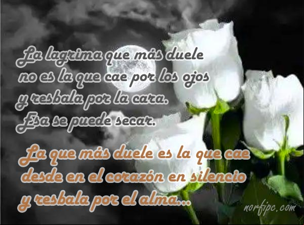 La lágrima que más duele no es la que cae por los ojos y resbala por la cara. Esa se puede secar. La que más duele es la que cae desde en el corazón en silencio y resbala por el alma. #Desamor La lágrima que más duele