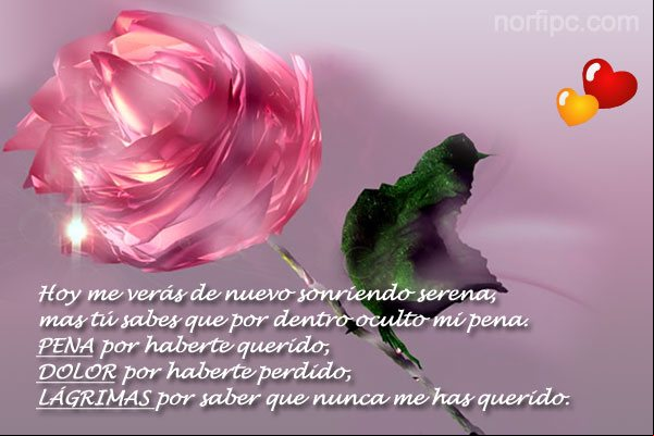 Me verás de nuevo sonriendo serena, más tu sabes que por dentro oculto mi pena. Pena por haberte querido, dolor por haberte perdido y lágrimas por saber que nunca me has querido. Por dentro oculto mi PENA por haberte querido