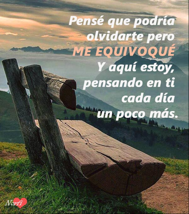 Pensé que podía olvidarte, pero me equivoqué. Y aquí estoy pensando en ti cada día un poco más Pensé que podía olvidarte, pero me equivoqué. Y aquí estoy pensando en ti cada día un poco más.