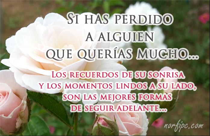 Si por cosas de la vida has perdido a alguien que querías mucho, los recuerdos de su sonrisa y de los momentos lindos a su lado, son las mejores formas de seguir adelante... El Día de los Fieles Difuntos o Día de los Muertos