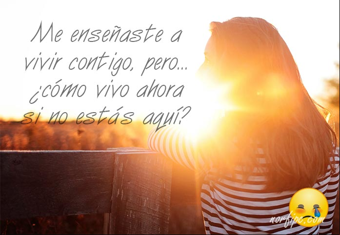 Frases tristes, de amores no correspondidos y desamor Frases tristes, de amores no correspondidos y desamor