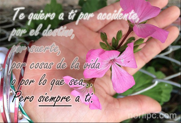 Te quiero a ti por accidente, por destino, por suerte, por cosas de la vida o por lo que sea, pero siempre a ti Pensamientos para quien el destino nos aparta