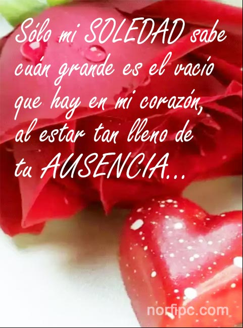 Sólo mi soledad sabe cuán grande es el vacío que hay en mi corazón, al estar tan lleno de tu ausencia. #FrasesSoledad Frase para contarle de mi soledad
